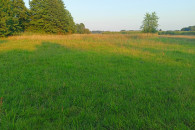 Działka Kamionacz 15arów